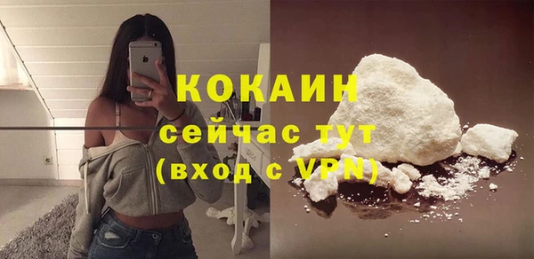 a pvp Новозыбков