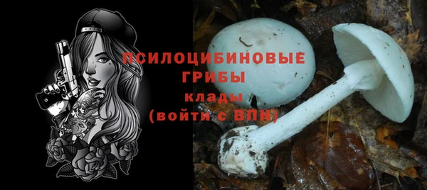 хмурый Коряжма