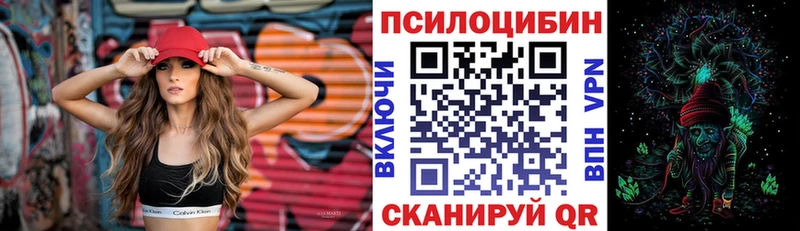 Псилоцибиновые грибы Psilocybine cubensis Бахчисарай